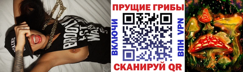 Галлюциногенные грибы Cubensis  Истра 